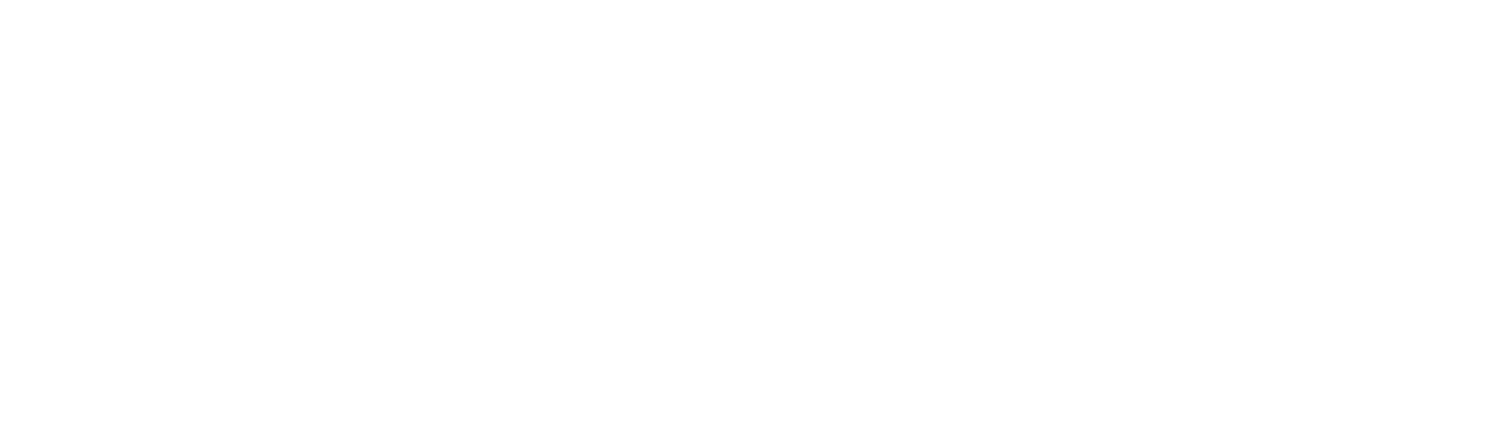 Perikatan Nasional